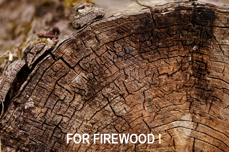 Preventive treatment of logs and sawn timber. Anti-checking, anti-splitting, anti-blue stain, anti-darkening. Ready to use. iBiotec BIO PROTECT 450. Wood treatment. Wood anti-checking. Wood anti-splitting. Wood anti-blue stain. Wood anti-darkening. Wood processing. Primary wood processing